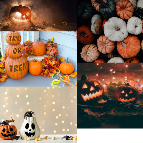 Pumpkin Delight Soy Candle - Image 4